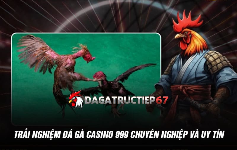 Trải nghiệm đá gà casino 999 chuyên nghiệp và uy tín