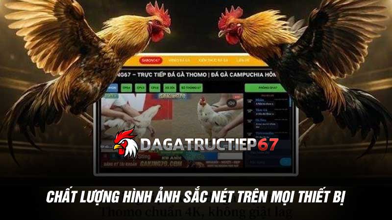 Chất lượng hình ảnh sắc nét trên mọi thiết bị